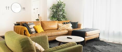 Smart TV, fireplace, books, music library