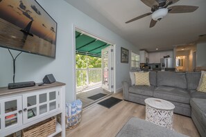Smart TV, DVD player, music library, stereo