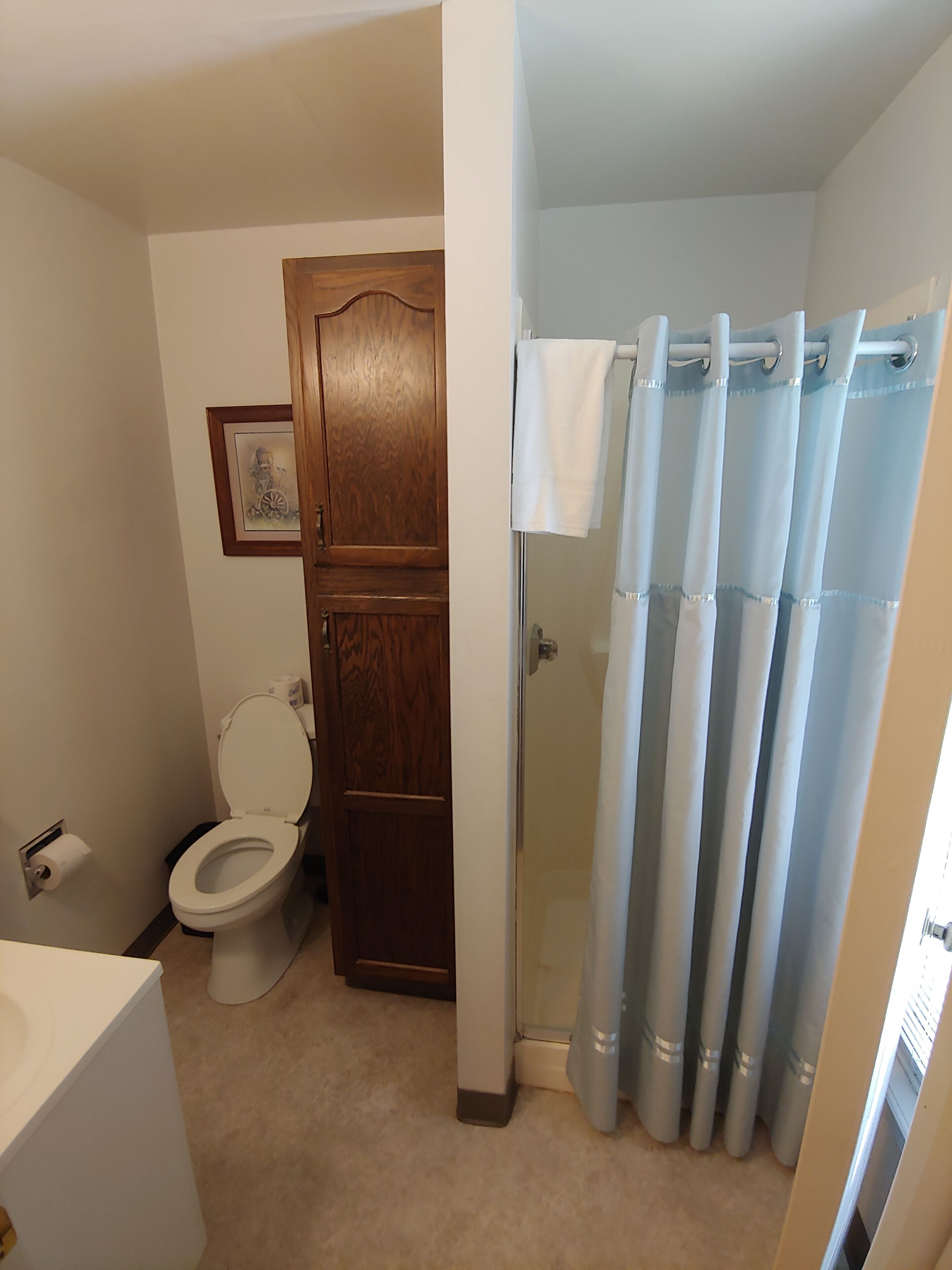 Une salle de bain avec des toilettes, un meuble en bois et un rideau de douche.