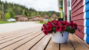 A wooden deck with a white pot of red flowers in the foreground. - Middle Brook Cottages & Chalets (Glenburnie-Birchy Head-Shoal Brook)