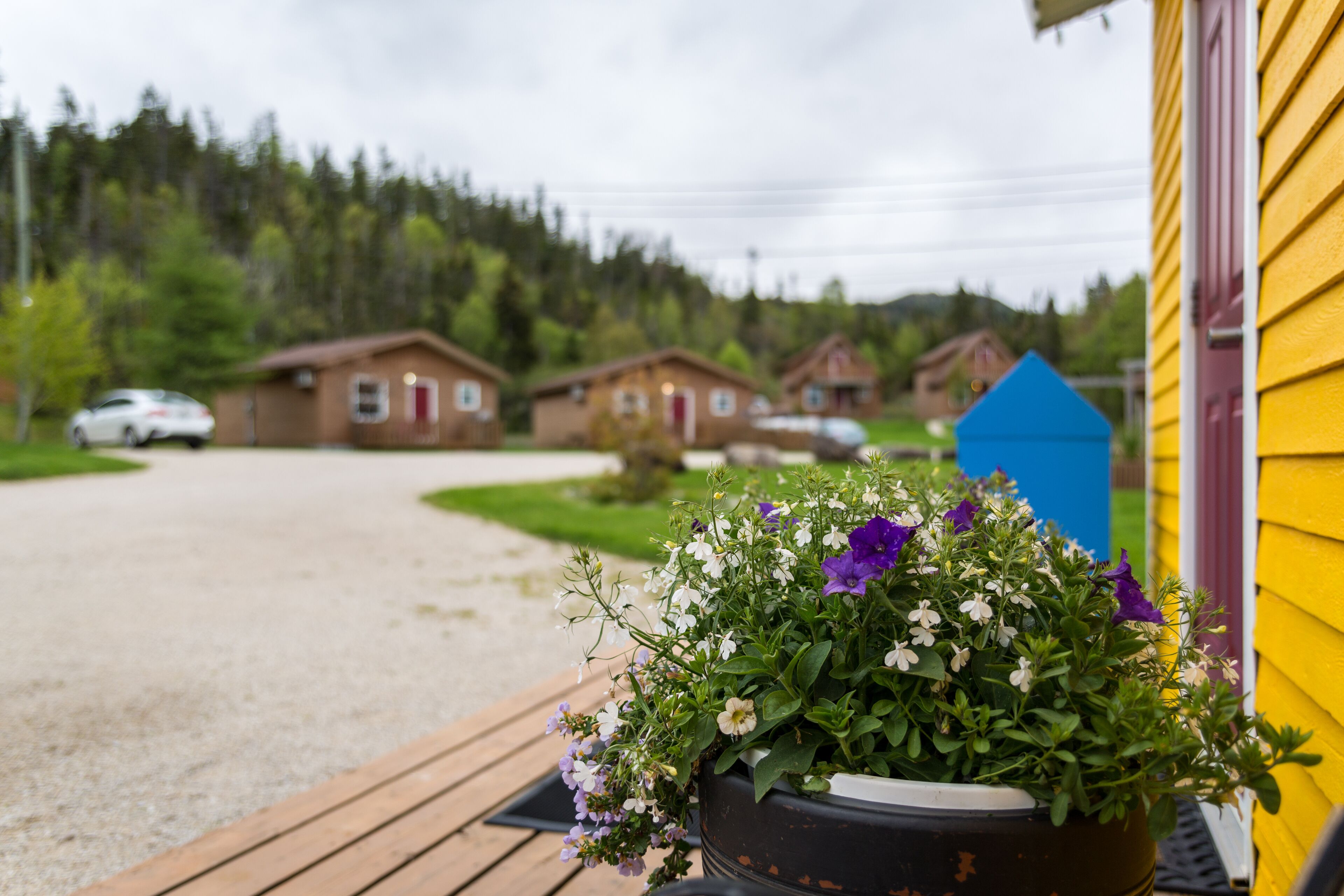 A wooden deck with a planter of flowers in front of a yellow building.
