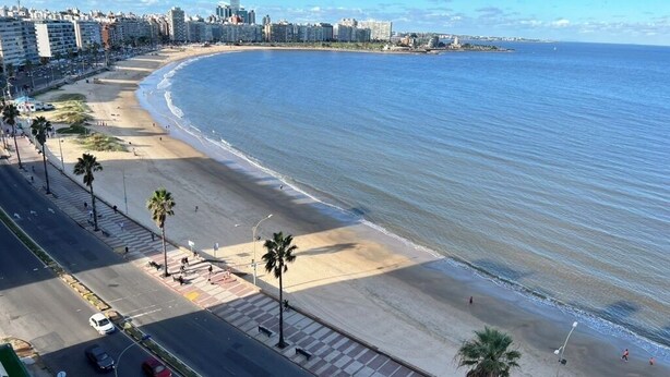 Un paisaje urbano costero con una playa extensa, un paseo marítimo con palmeras y una carretera paralela a la playa.