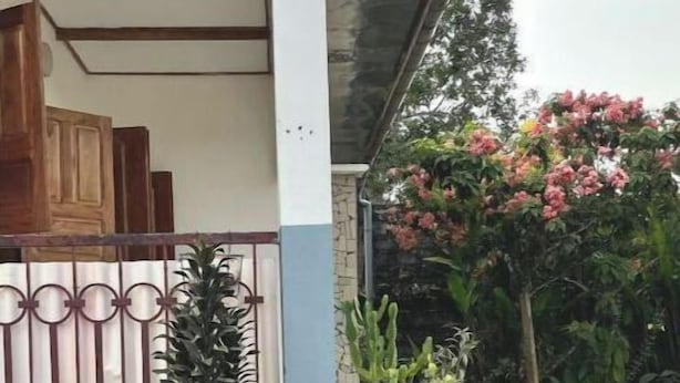 Un immeuble résidentiel à la façade bleue, doté d’un escalier en pierre et agrémenté d’une plante en pot.