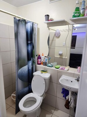 Ducha, bidé, toallas y jabón