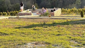 Un espace agrémenté d’un banc en pierre offrant une vue sur une colline boisée.