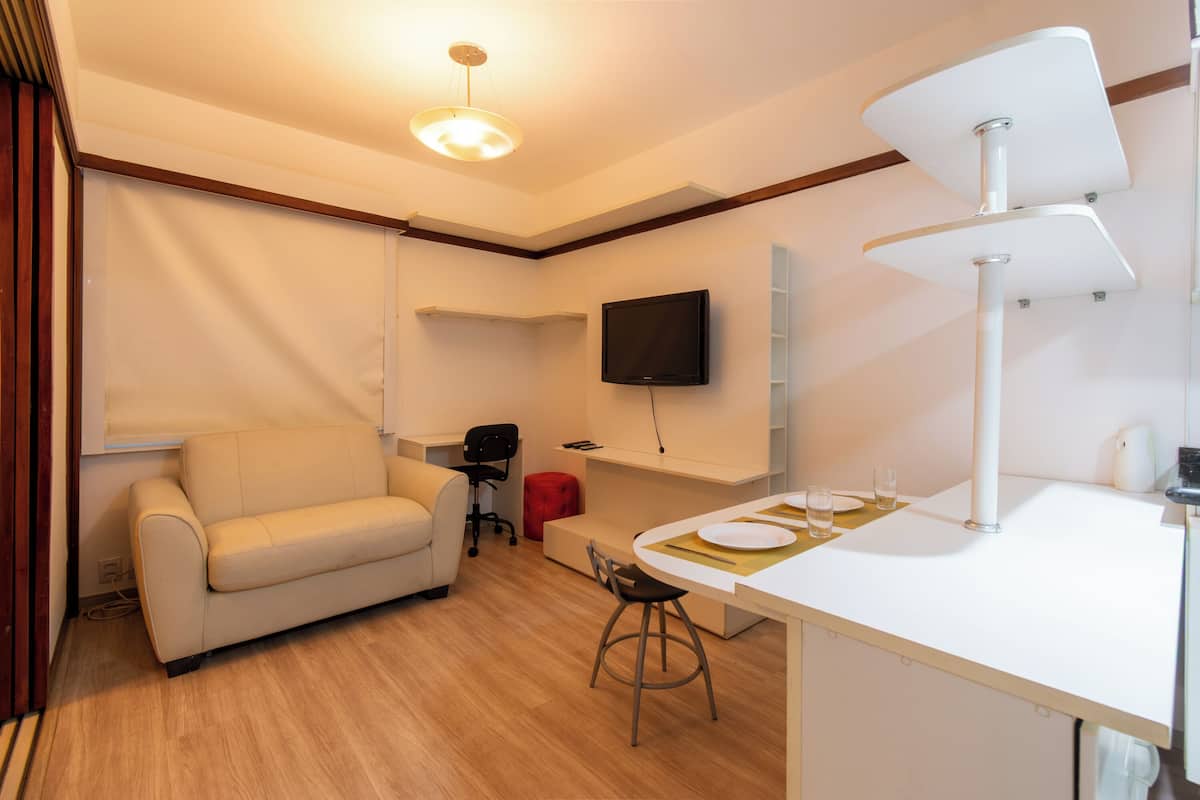 City Apartment | Living area | 29-inch flat-screen TV with cable channels, TV