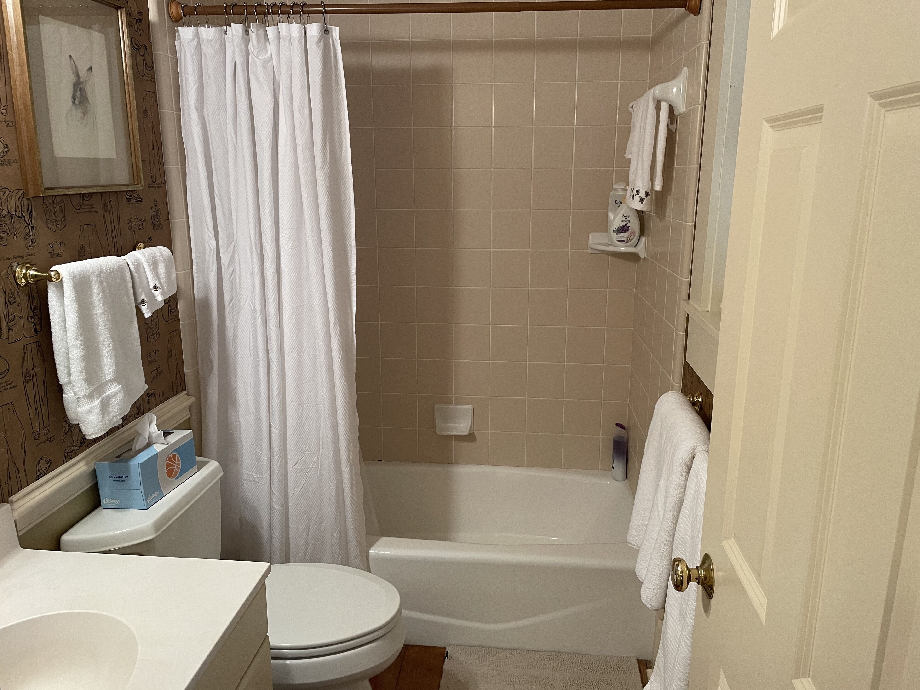 Combined shower/bathtub, hair dryer, towels, soap