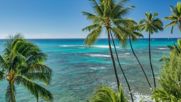 A tropical beach with clear turquoise waters, palm trees, and a clear sky. - Remodeled in 2022, Diamond Head 2 Bedroom Oceanfront condo (Honolulu)