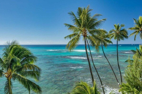 Beach nearby, sun-loungers, beach towels - Remodeled in 2022, Diamond Head 2 Bedroom Oceanfront condo (Honolulu)