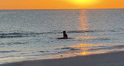 Newly Remodeled! Pool home near Siesta Beach!
