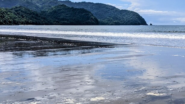 Ein Strand mit felsigem Ufer und einem bewaldeten Hügel im Hintergrund.