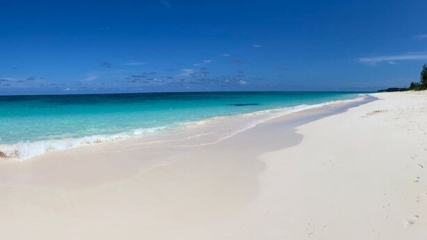 A wide, white sandy beach with clear turquoise water and a clear blue sky. - Cottages on most stunning pink sand beach (North Palmetto Point)