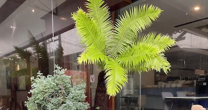 Tapae Place Hotel Chiangmai