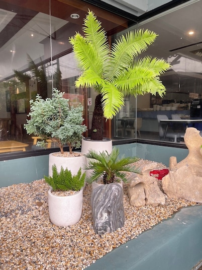 Tapae Place Hotel Chiangmai