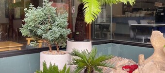 Tapae Place Hotel Chiangmai