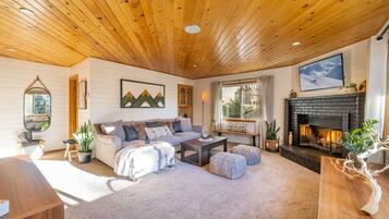 Smart TV, fireplace, DVD player, video library