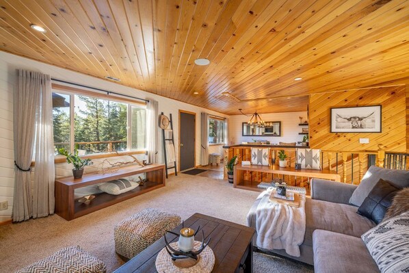 Smart TV, fireplace, DVD player, video library