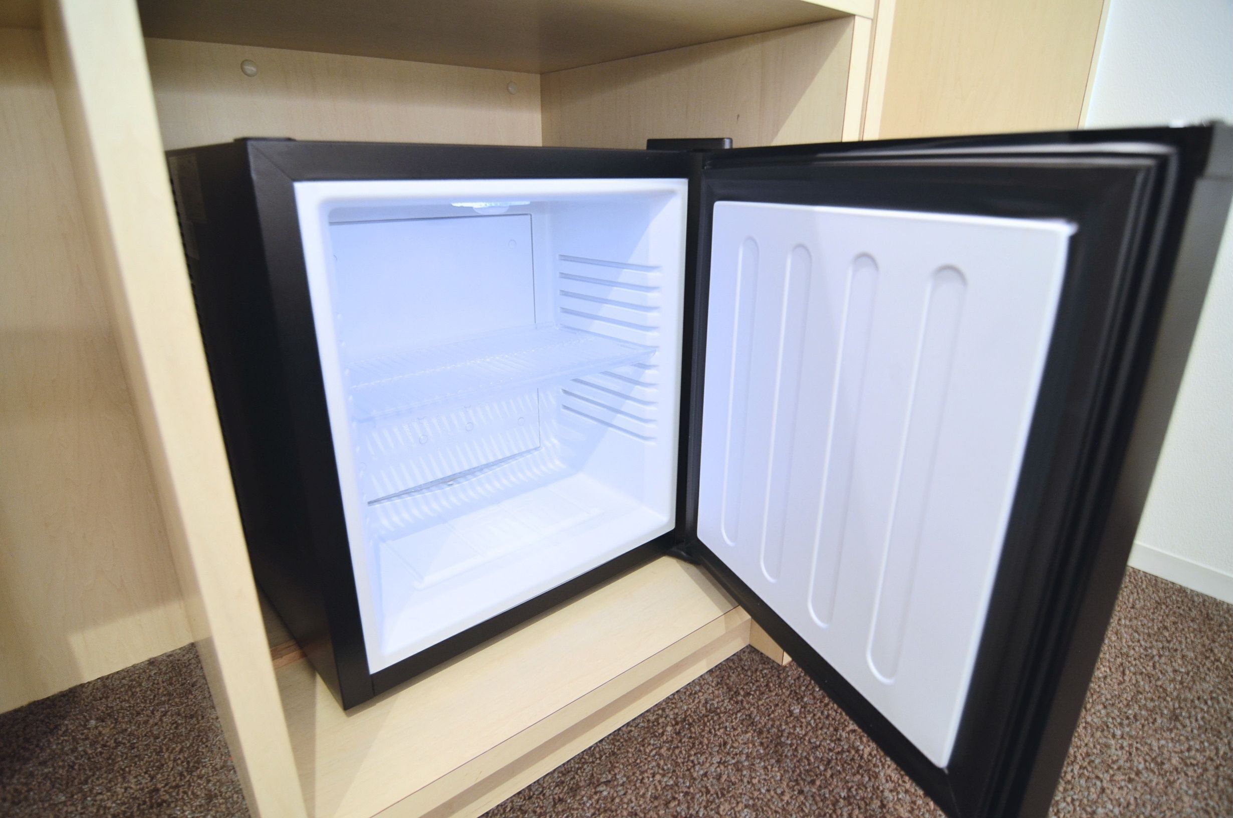 Mini-refrigerator