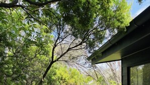 A wooden deck with a table set for a meal, surrounded by lush greenery and a well-maintained lawn. - The back ultimate beach family, couples, girls trip or golf trip stay. (Blairgowrie)