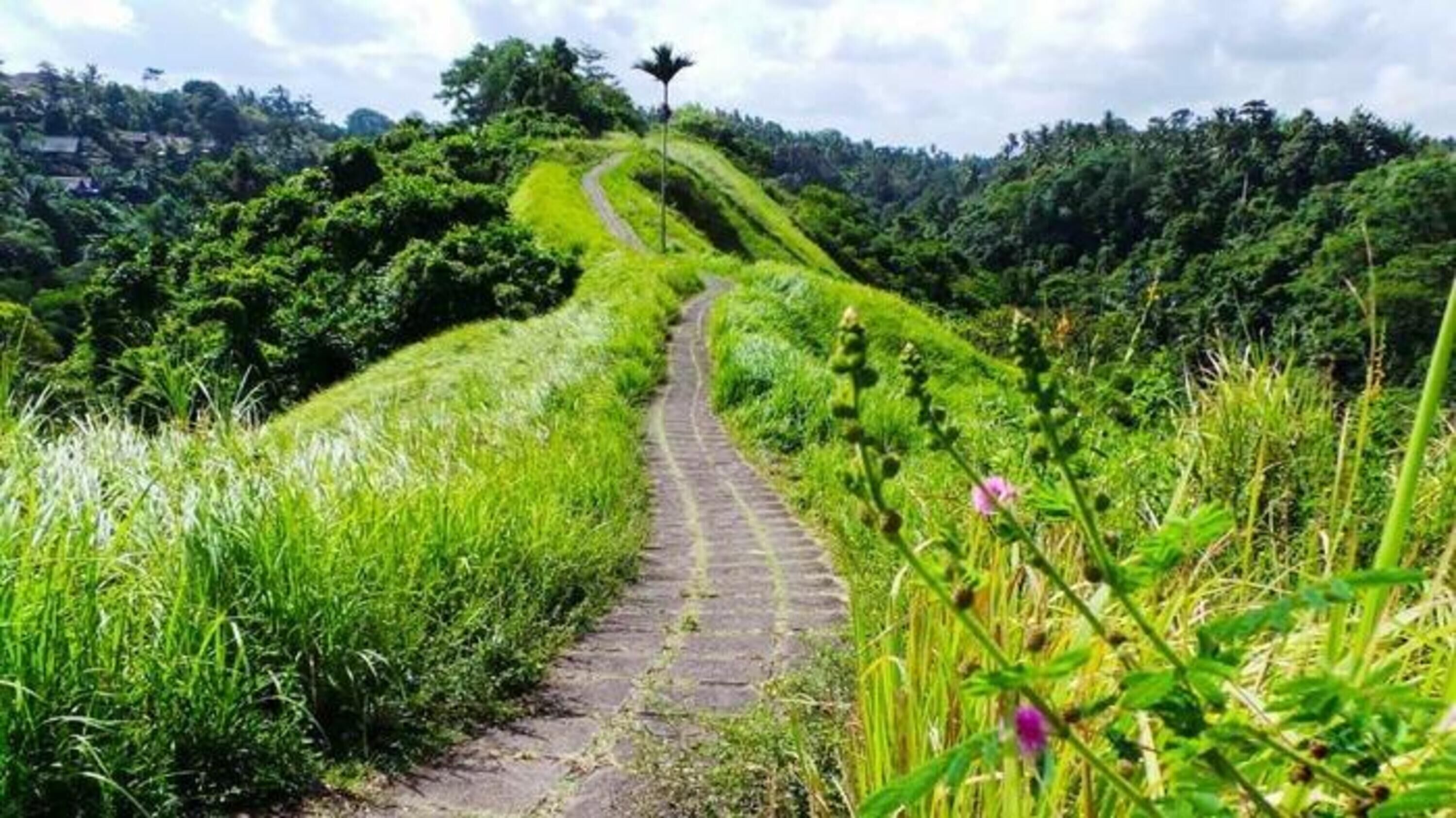 Foto - Sulendra Jungle Suites Ubud View by EPS