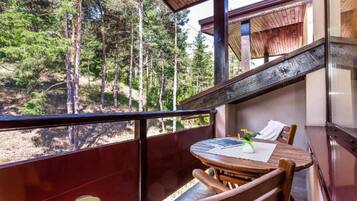 Kahden hengen perushuone (yksi tai kaksi sänkyä) | Terassi/patio