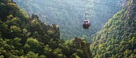 Un teleférico suspendido sobre una zona montañosa y boscosa.