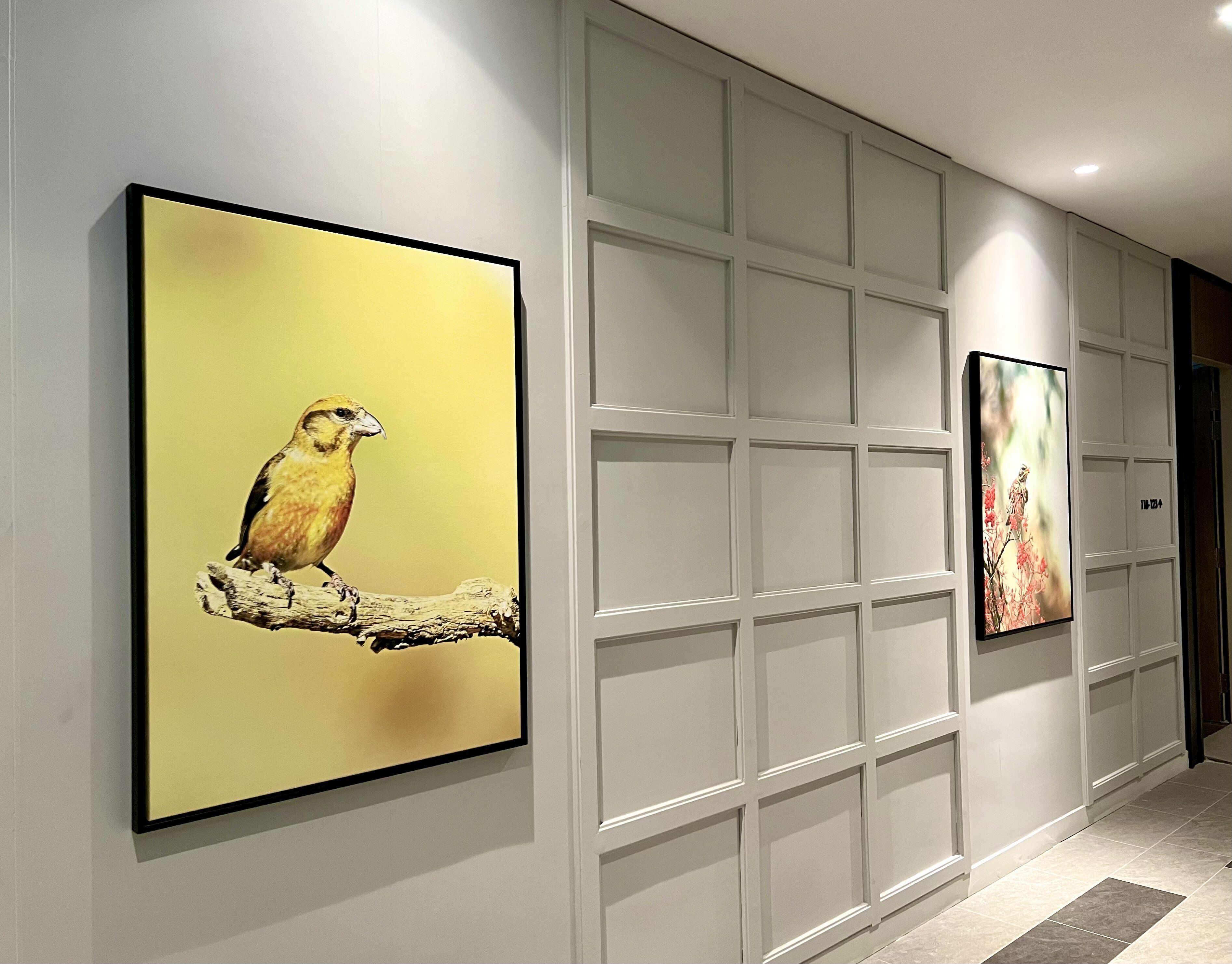 A hallway with two framed artworks on the wall, a white door with a grid pattern, and a tiled floor.