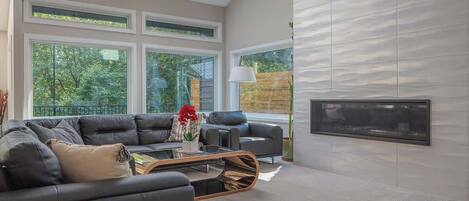 Smart TV, fireplace, books