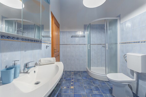 Une salle de bain avec une baignoire, des toilettes et une douche.