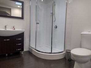 Enjoy a refreshing shower in the sleek walk-in shower enclosure, adjacent to a contemporary sink and dark wood vanity.