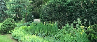 SUGGENSTEIN CASTLE SIGMARINGEN