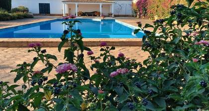 Rural house with pool and paddle tennis court 4 km from Montilla