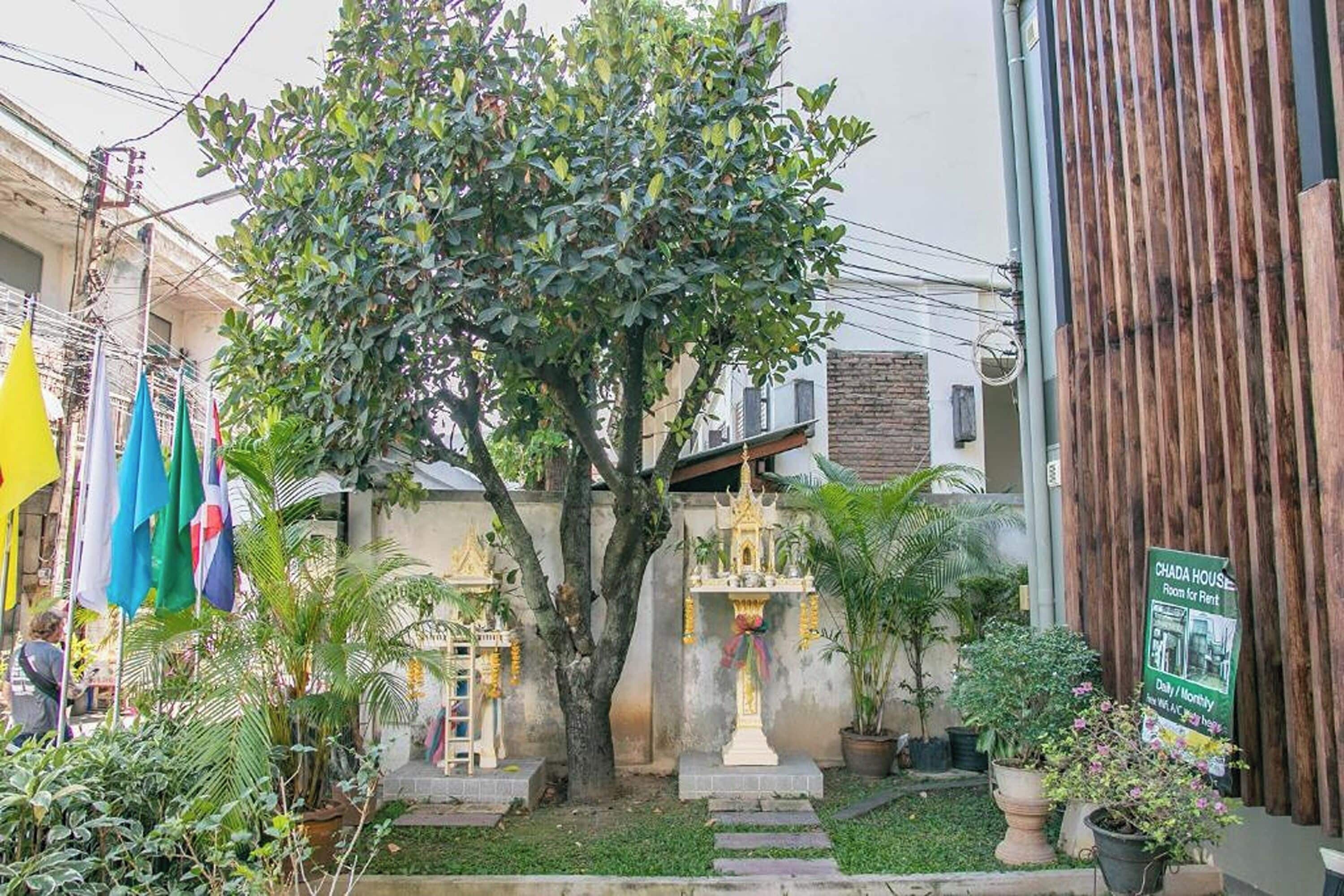 Foto - Chada House