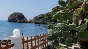 A coastal landscape with a cactus, a rocky outcrop, and a clear blue sea. - Villa Renata & Villa Filippos with private Plunge Pool by Konnect (Corfu)
