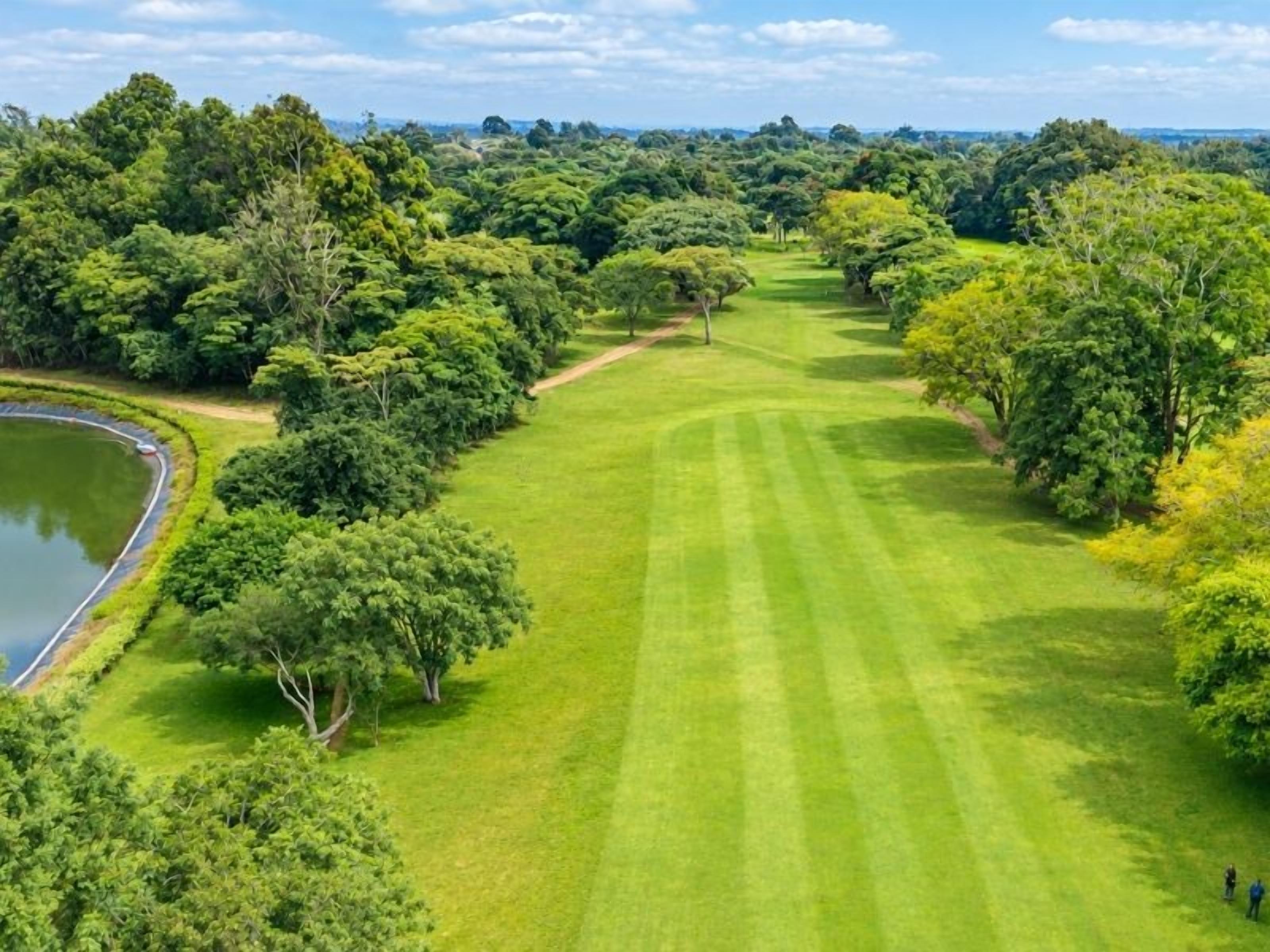 A golf course with a pond, trees, and a clear sky.