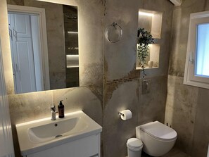 Combined shower/bathtub, hair dryer, towels, toilet paper