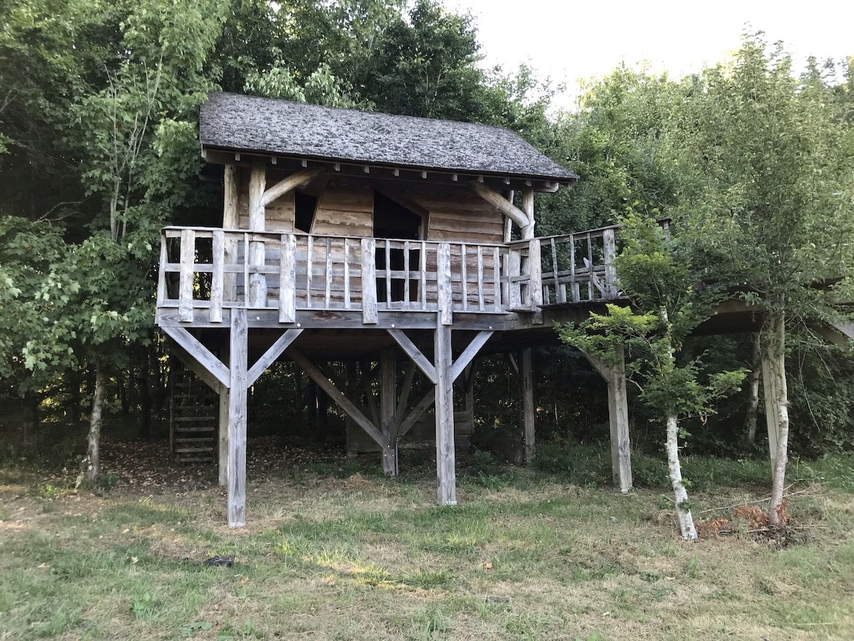 Image de profil de lâhĂŽte