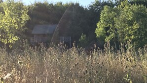 A field with tall grasses and trees in the background. - Charming tree house in Normandy (Essay)