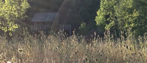 Área da propriedade