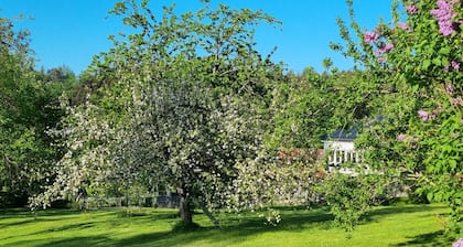 Time Out Moments house with its own sauna in the Bavarian Forest National Park