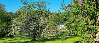 Time Out Moments house with its own sauna in the Bavarian Forest National Park