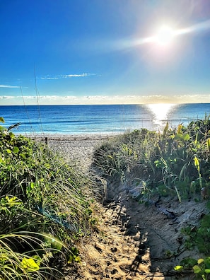 Um caminho de areia que leva ao oceano, com céu claro e luz do sol.