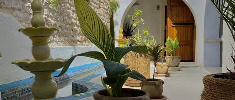 Un patio con pared de piedra, puerta de madera y plantas en macetas.