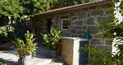 Linden Studio at Terrus Winery