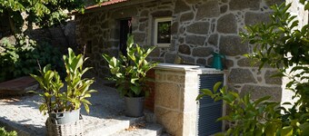 Linden Studio at Terrus Winery