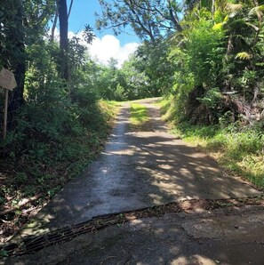 Property grounds - Quiet T3 house surrounded by nature (Sainte-Marie)