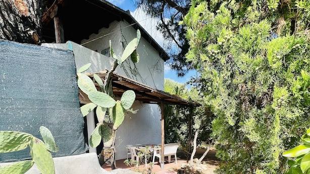 A patio area with a concrete bench, a cactus plant, and a wooden fence. - Trilocale in Centro con Giardino (San Teodoro)