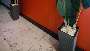 A restaurant sign with a modern design and two potted plants. - ZAM-ZAM (Baku)