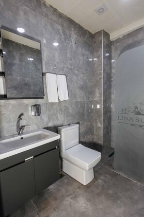 Regadera, regadera tipo lluvia, secadora de cabello, toallas