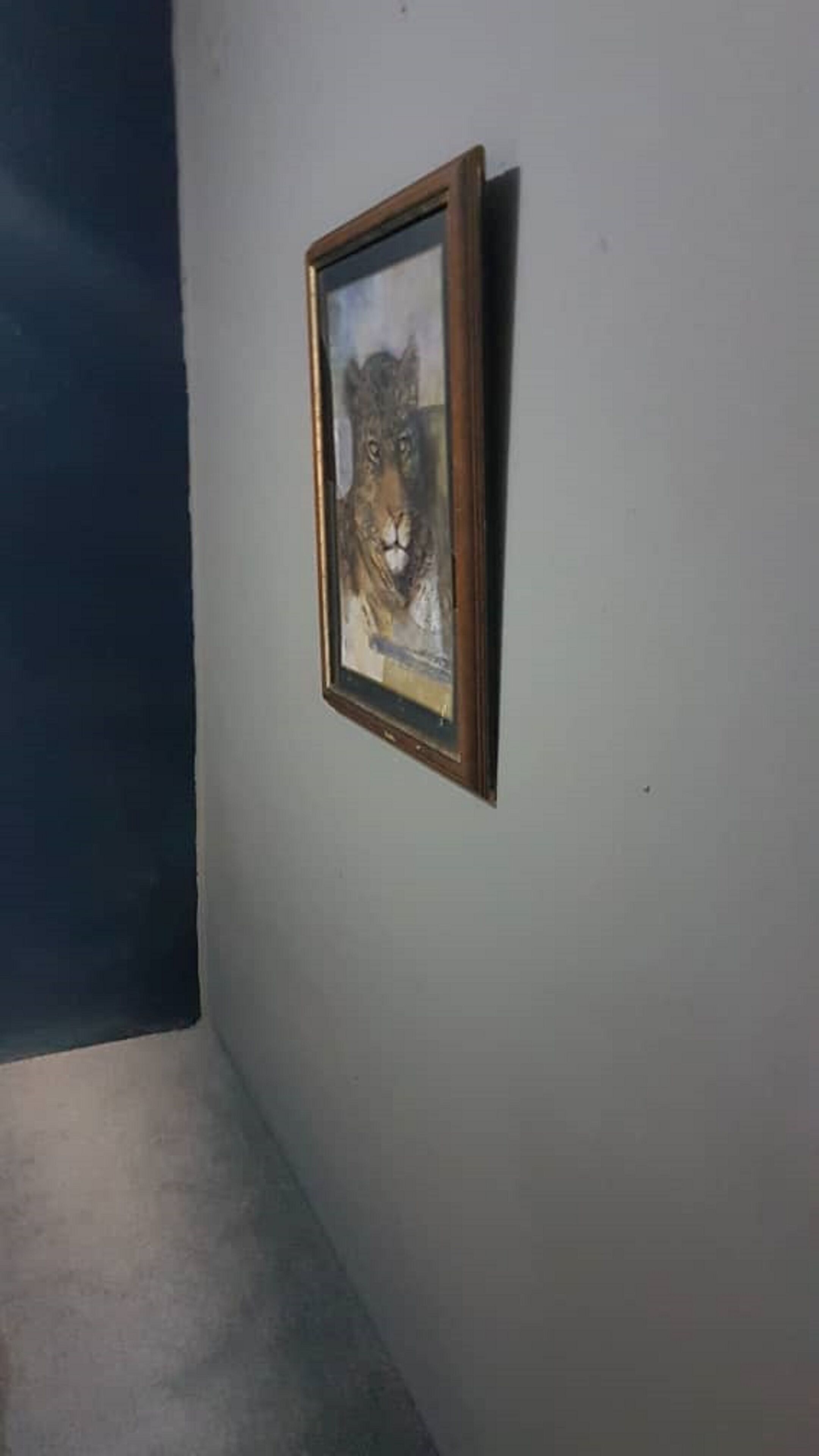 Un cuadro con un león en una pared de una habitación, con una pared lisa y una esquina oscura.